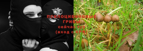a pvp Карталы
