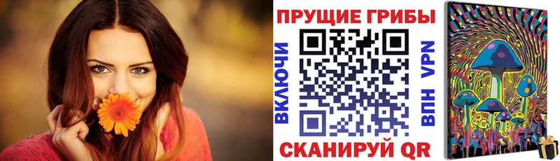 Купить где  Костомукша  Галлюциногенные грибы мухоморы 